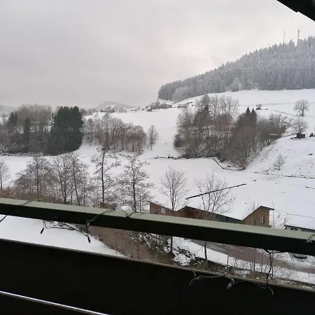 Haus Schwarzwaldgrund *
