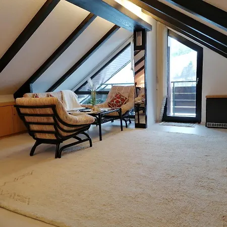 Haus Schwarzwaldgrund Apartment