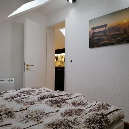 Haus Schwarzwaldgrund Apartment Baiersbronn