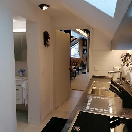 Haus Schwarzwaldgrund Apartment *